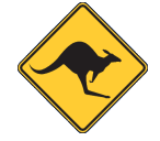 Salisbury Skippycoin ICG Salisbury Skippycoin ICG